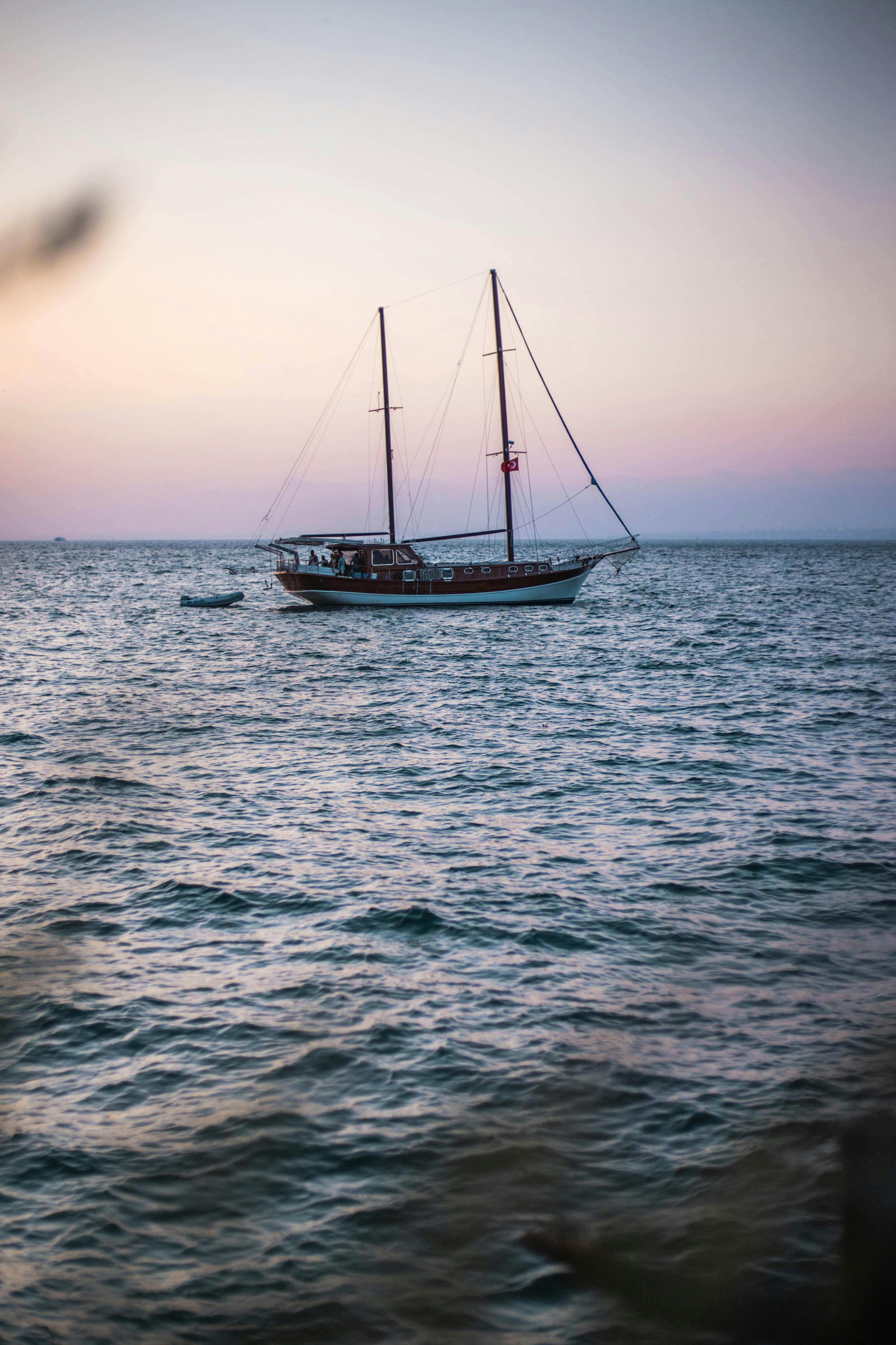 Boat Safari
