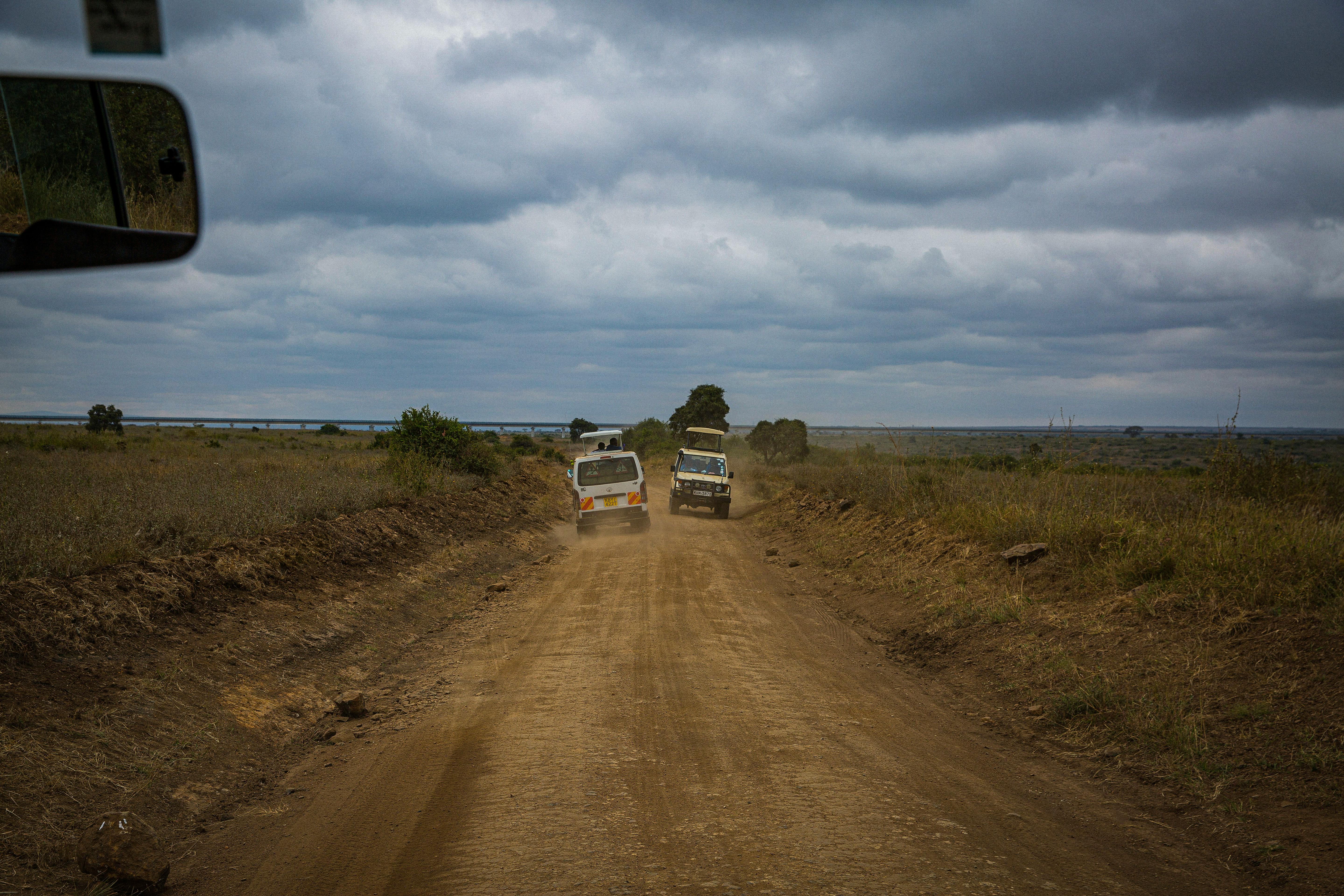 Samburu Safari